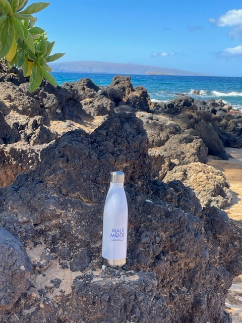 Maui Mode Stainless Steel Water Bottle